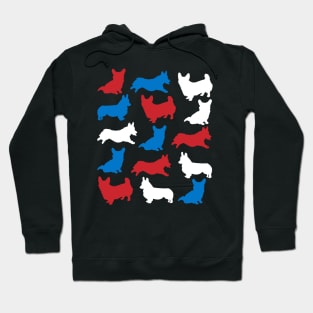 Patriotic Corgi Dog America Flag 4Th Of July Hoodie